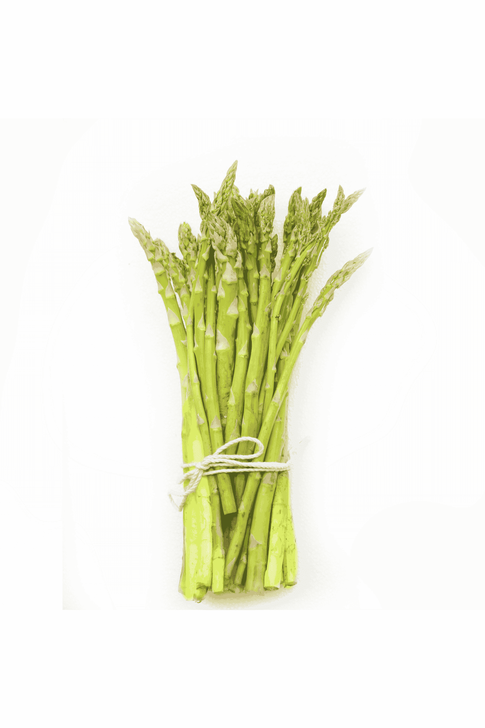 Fresh Asparagus