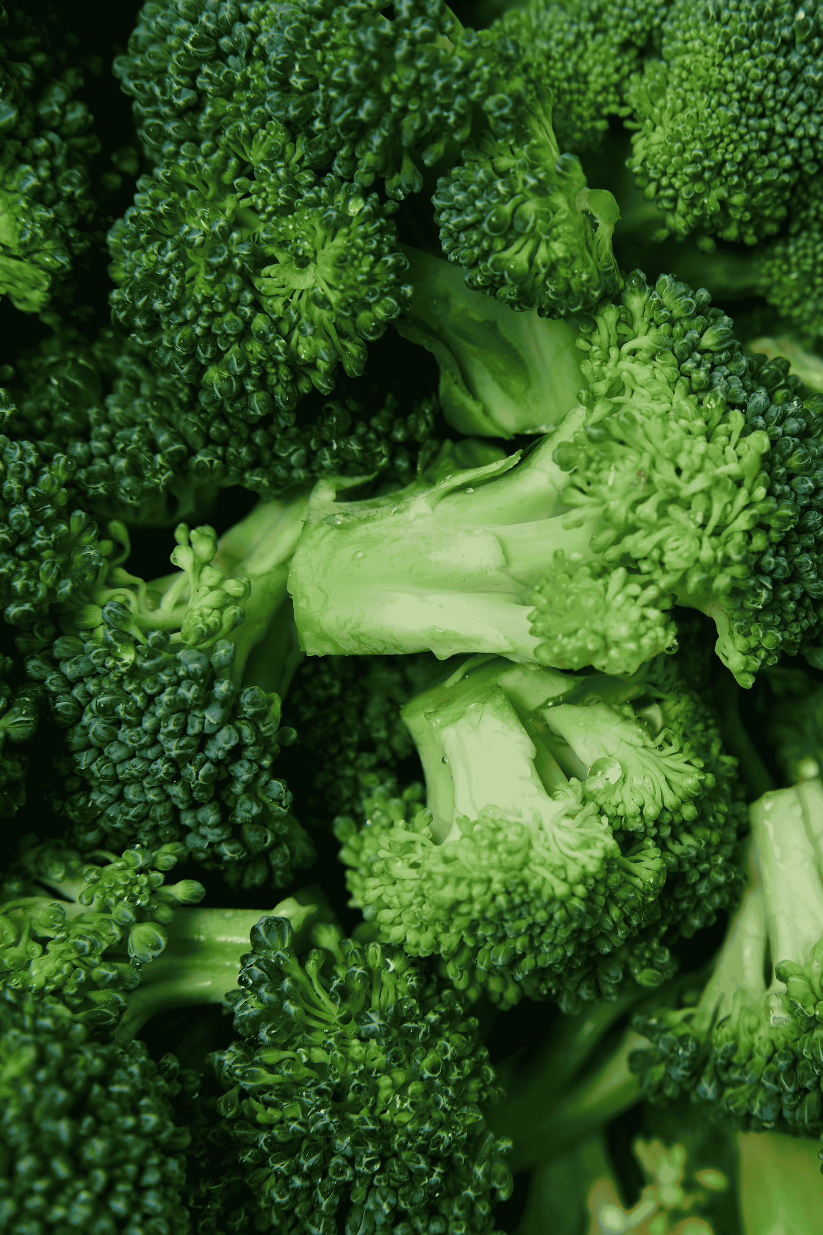 Fresh Broccoli