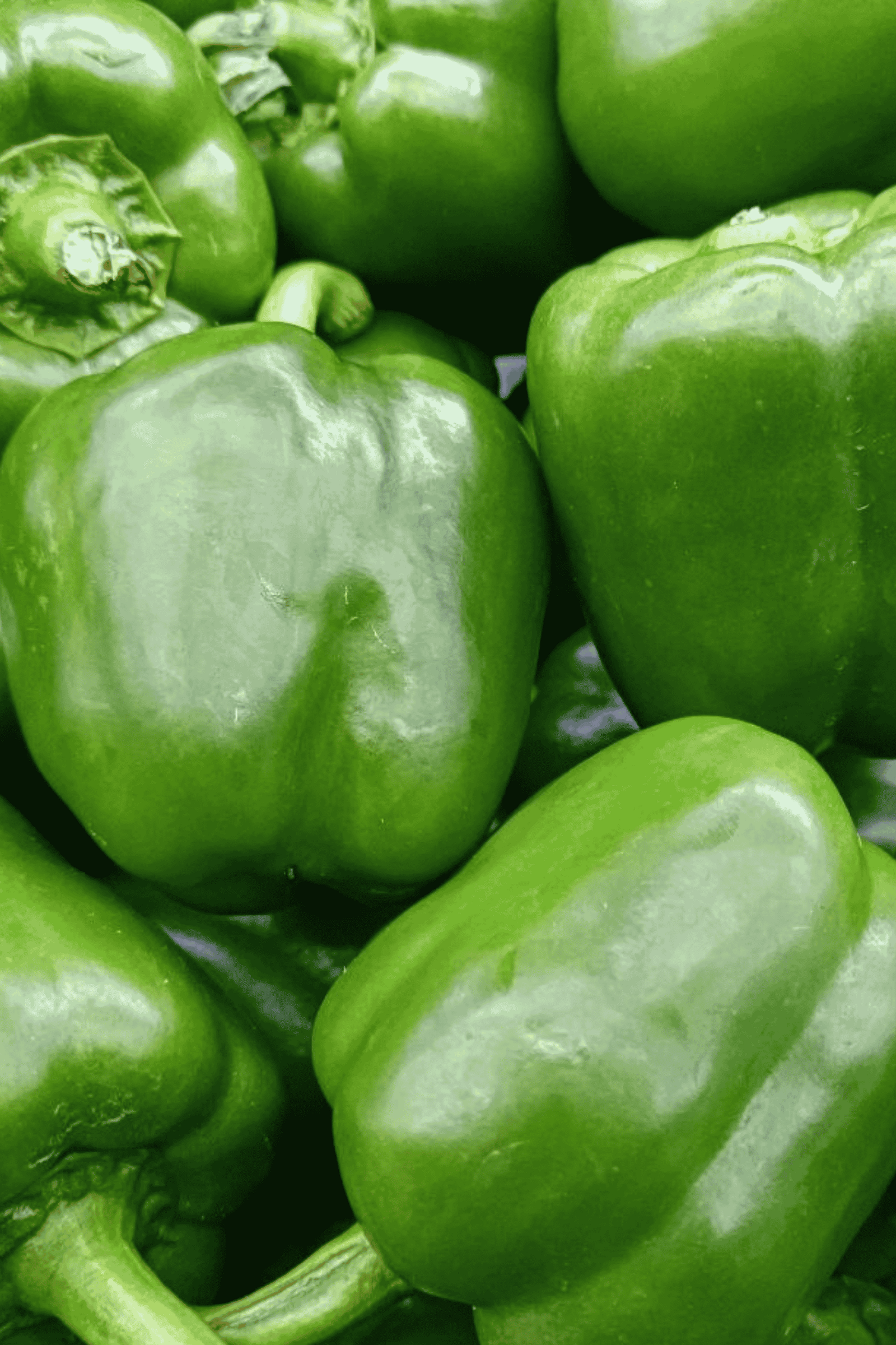 Fresh Capsicum