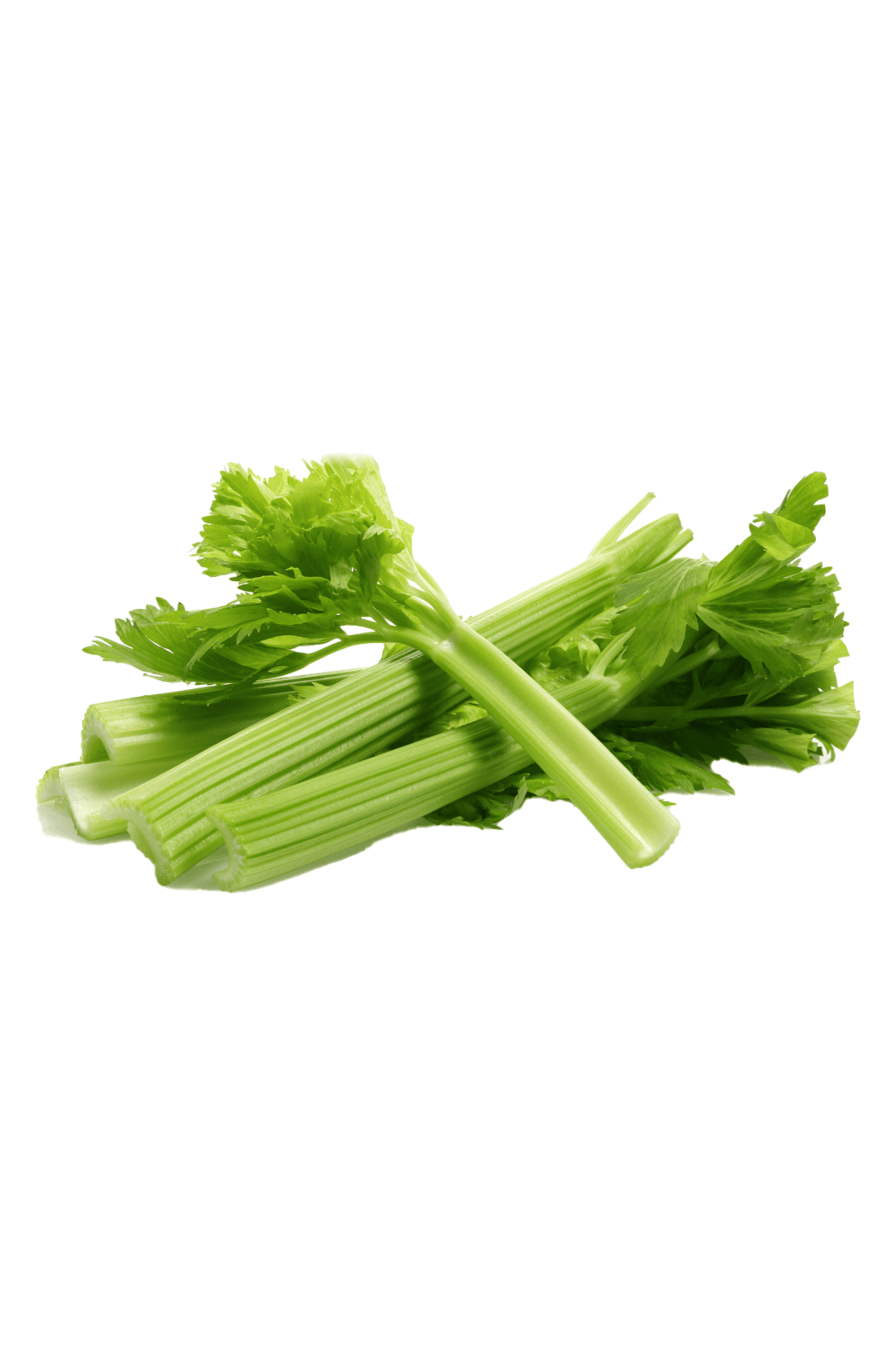 Fresh Celery