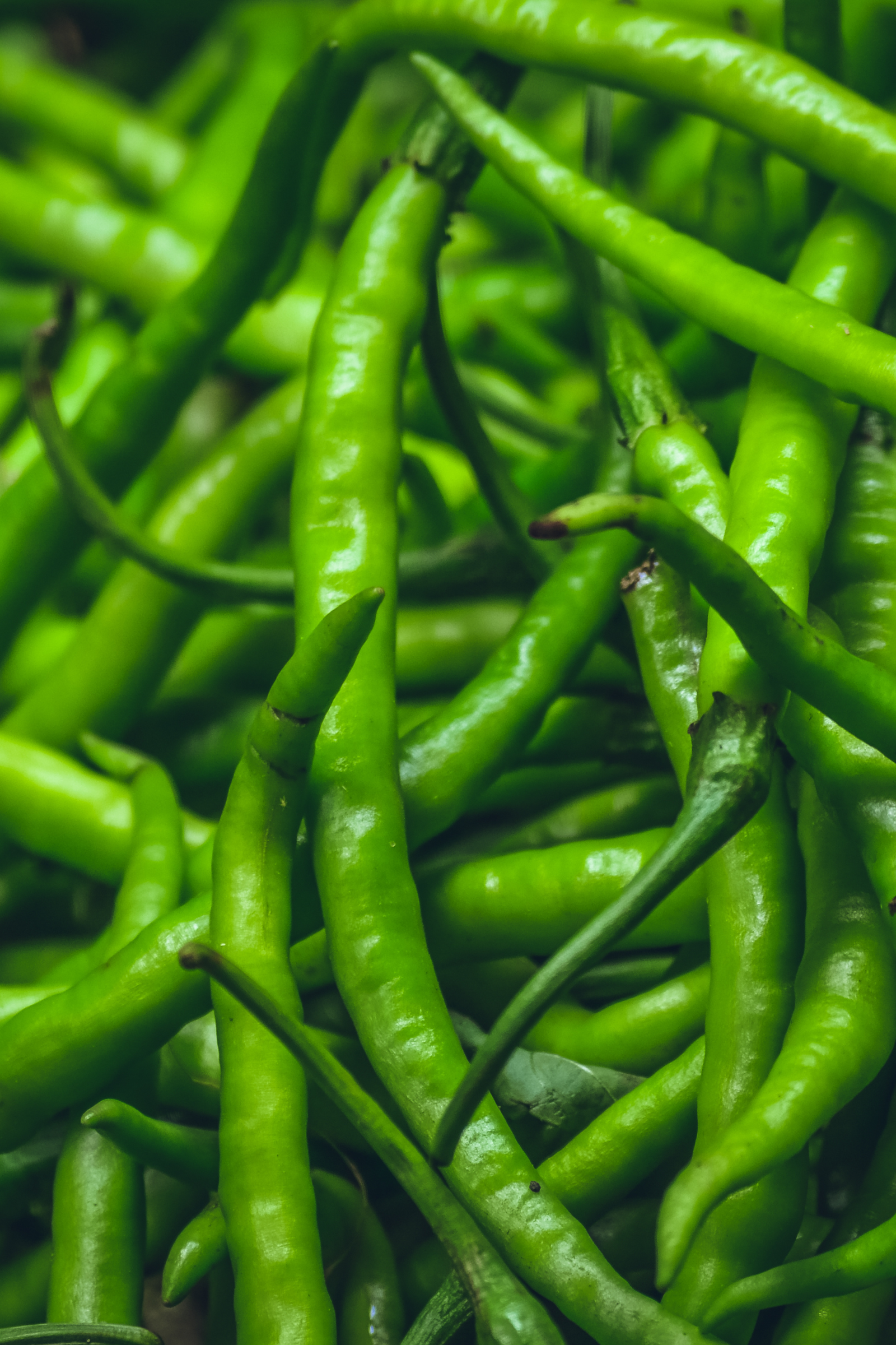 Green Chilli