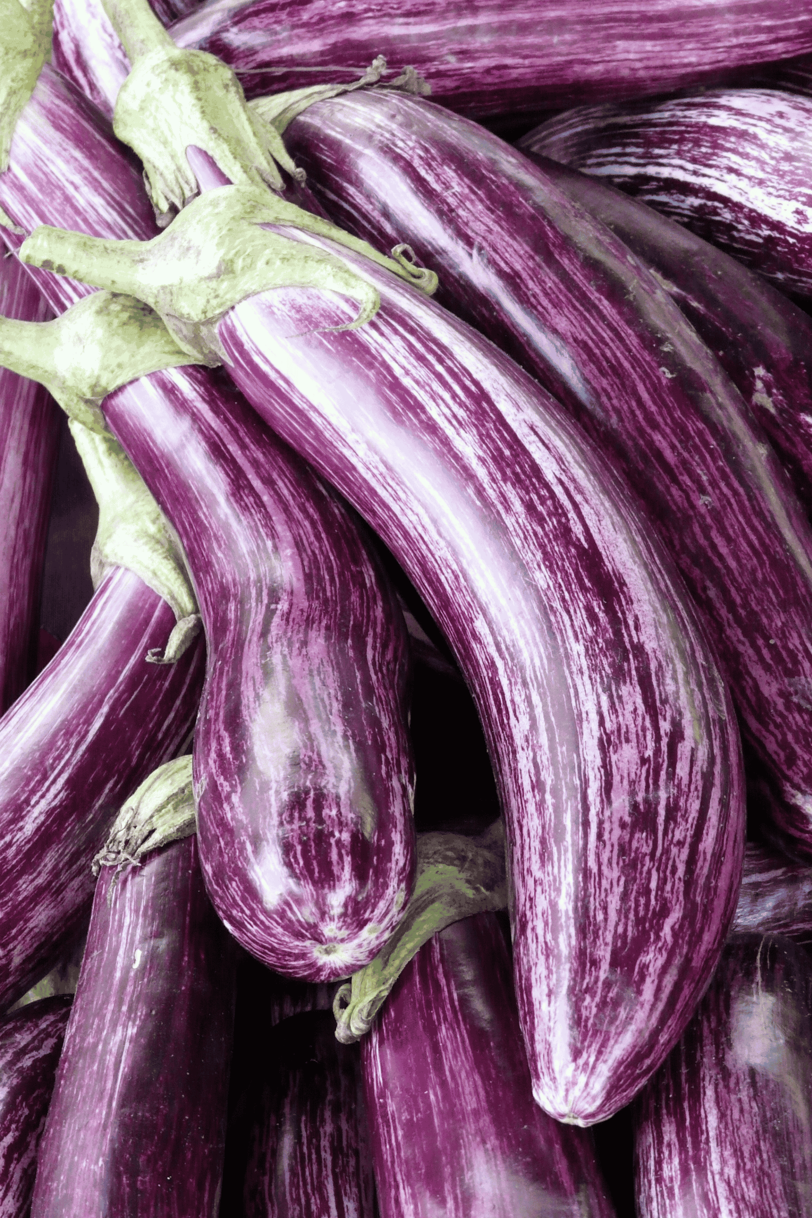 Eggplant