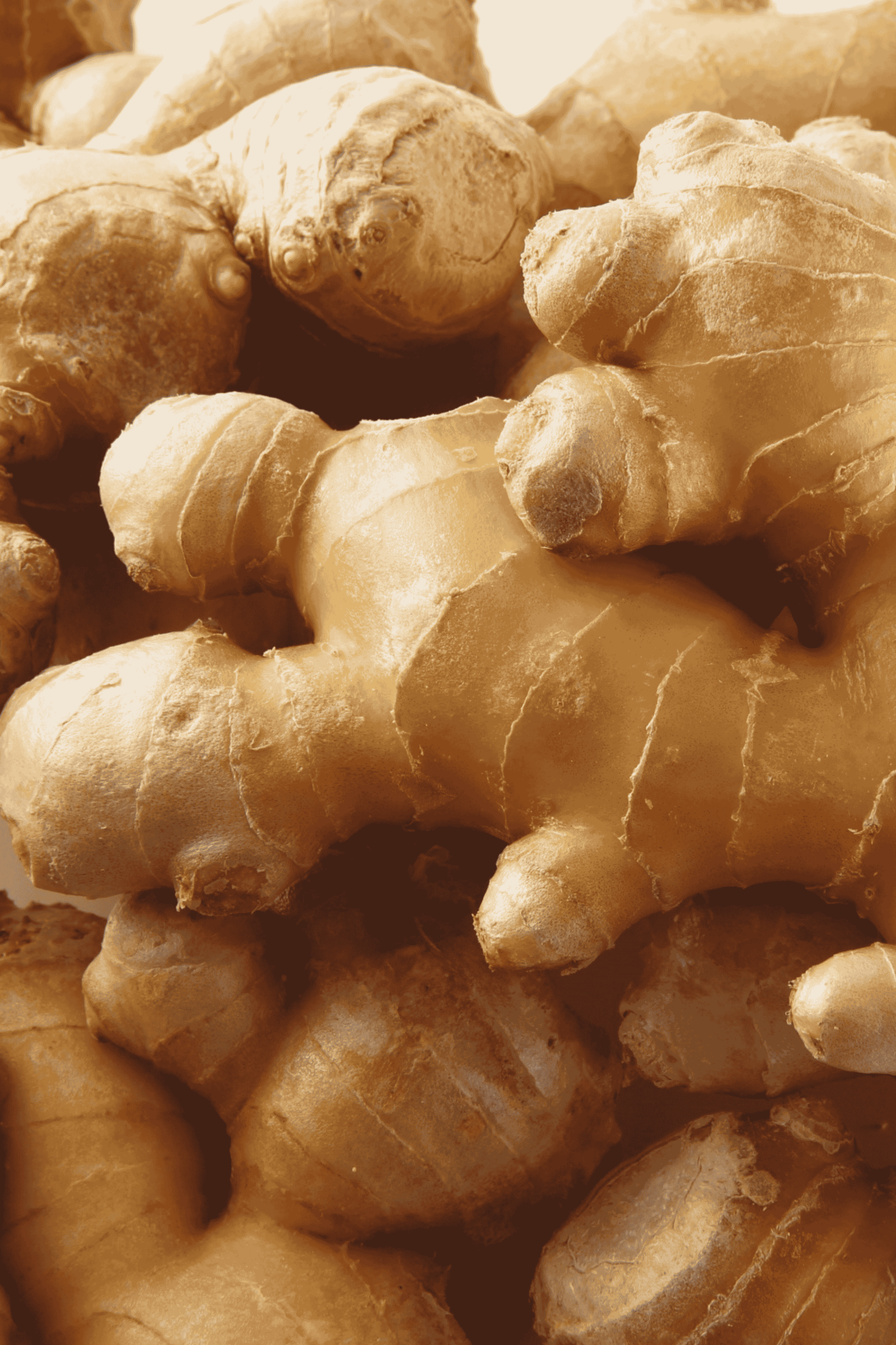 Fresh Ginger