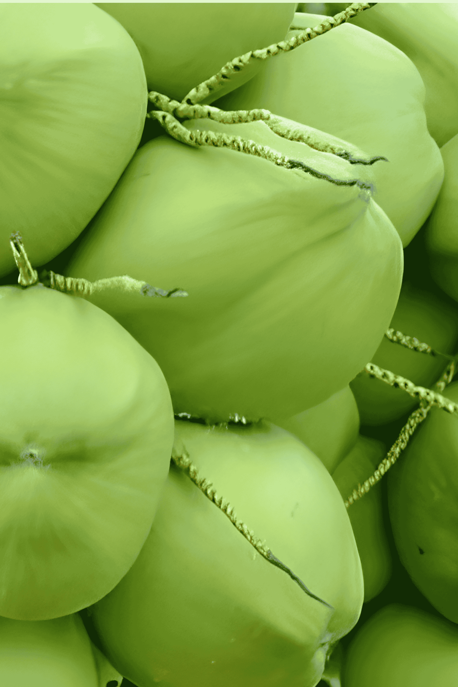 Tender Coconut